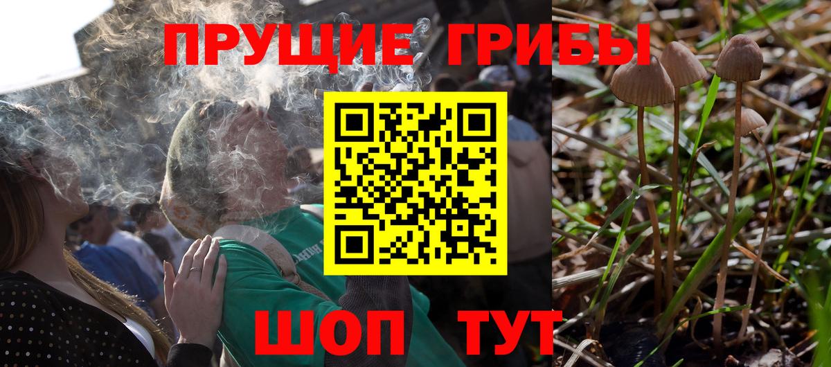 Галлюциногенные грибы Magic Shrooms  Вход с VPN  Галлюциногенные грибы Cubensis  Алушта 